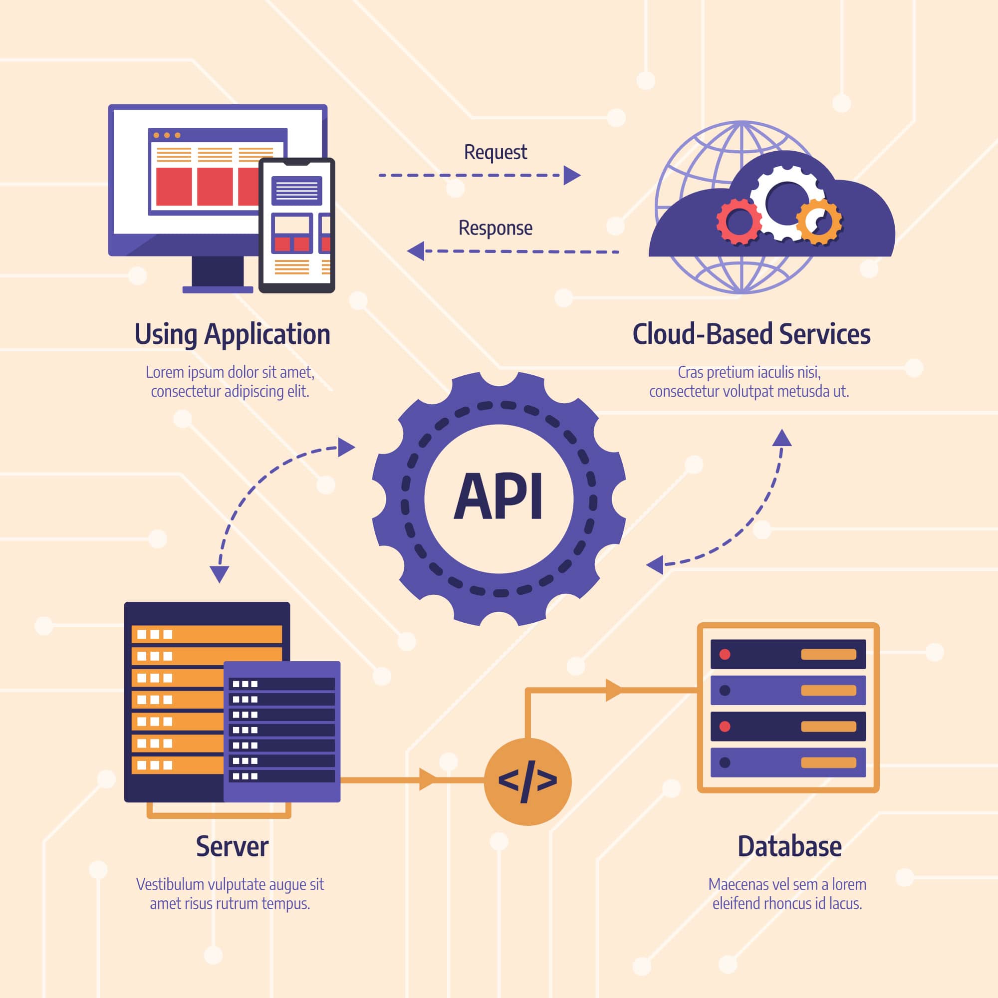how to use api key in website